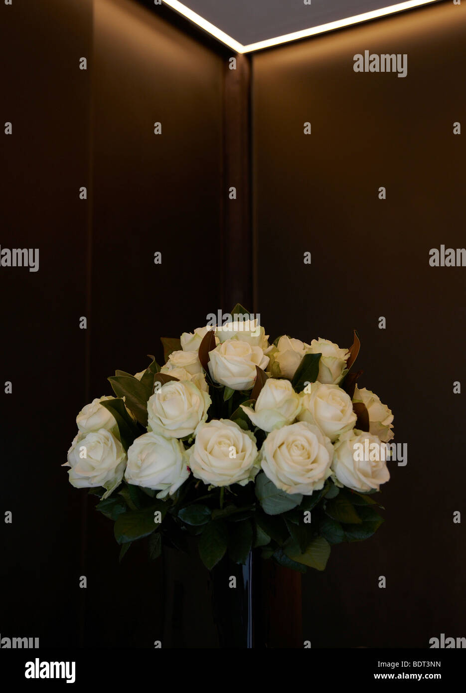 weiße Rosen in vase Stockfoto