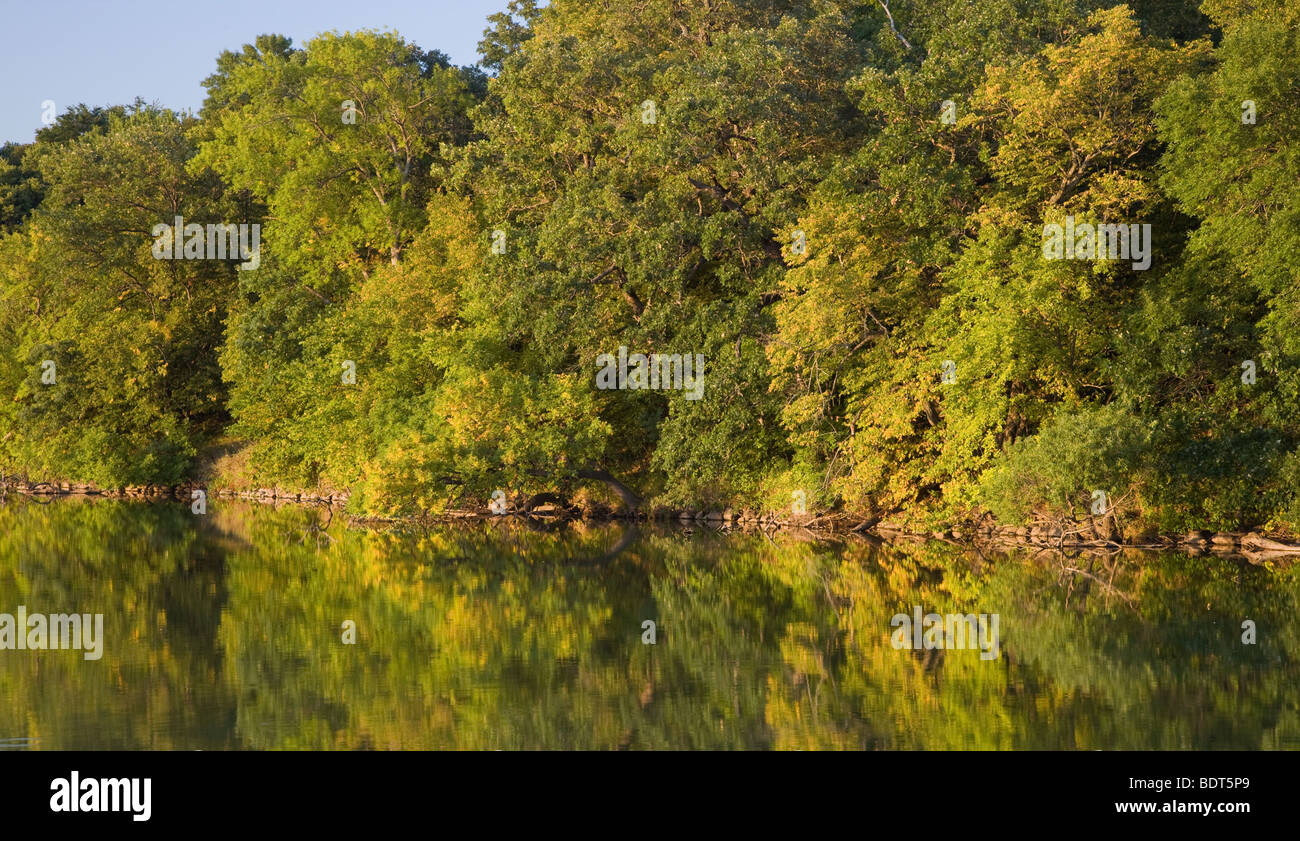 Sommer Bäume und hohe See, Ingham-High Wetland Complex, Emmet County, Iowa Stockfoto