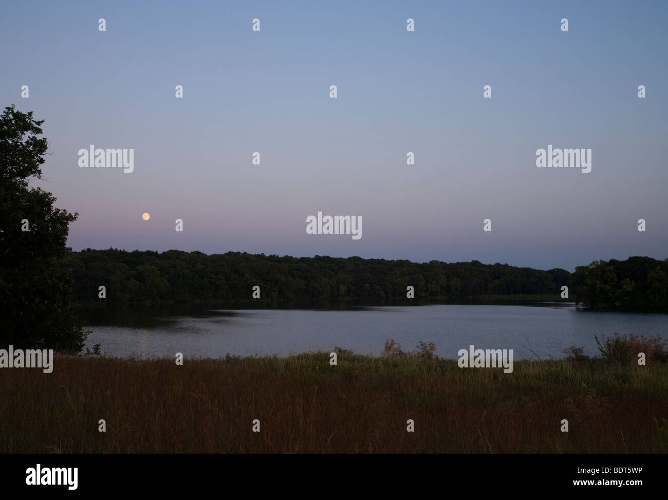 Mondaufgang über hohe See, Ingham-High Wetland Complex, Emmet County, Iowa Stockfoto