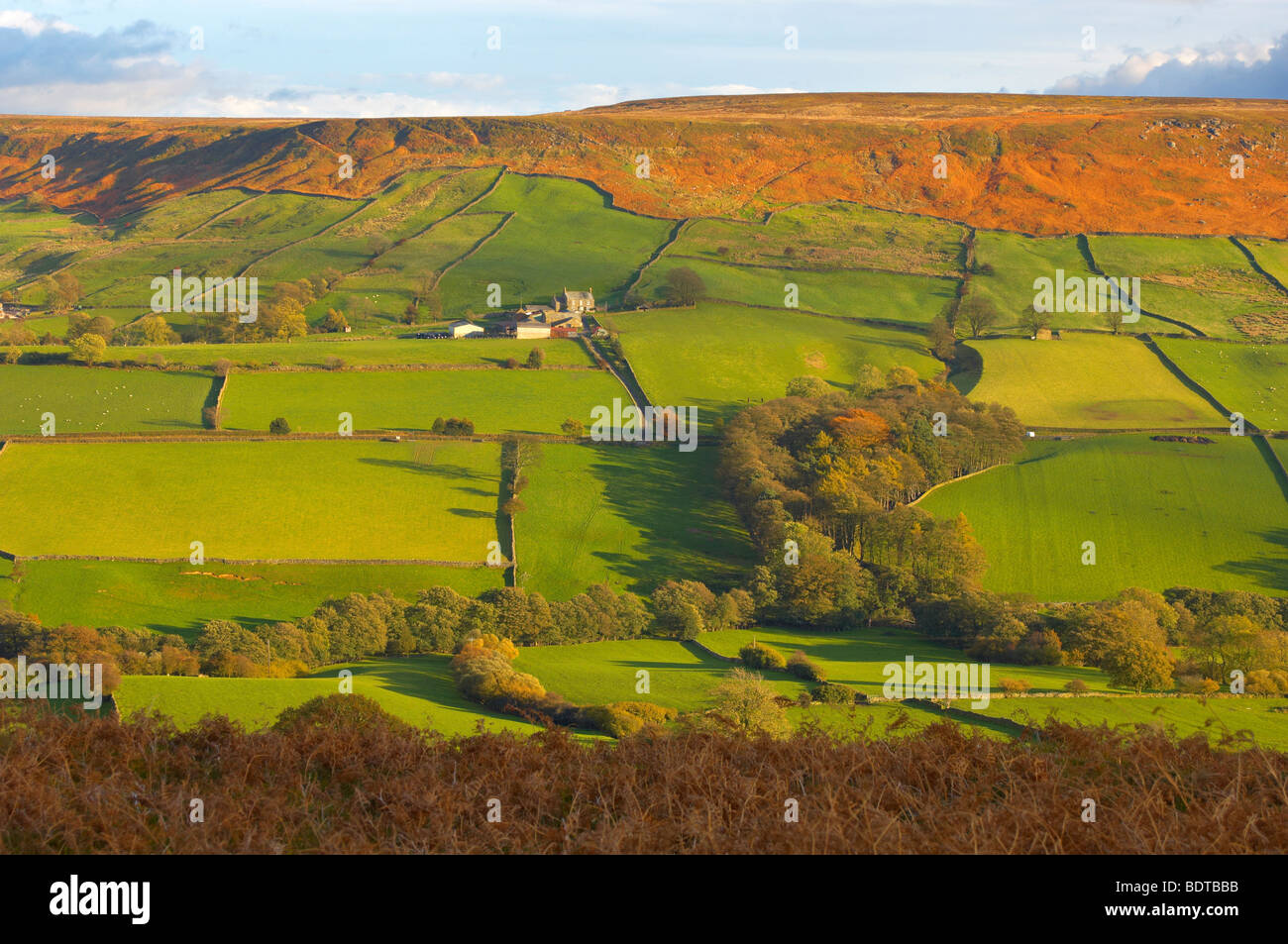 Danby Dale Farm, North Yorkshire Moors National Park, England. Stockfoto