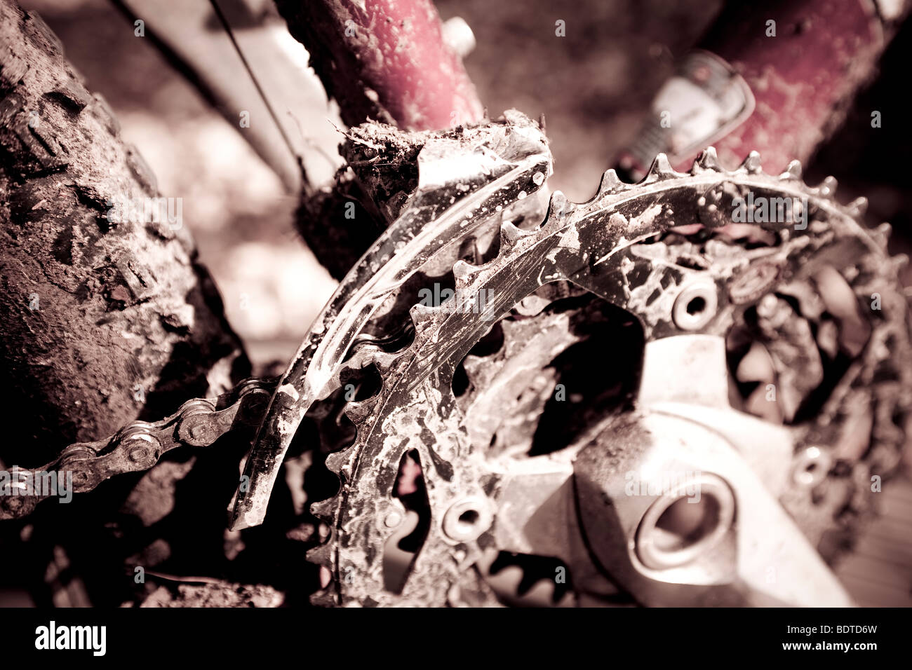 Mountain Bike Kettenblatt Stockfoto