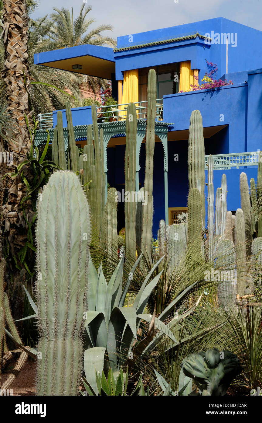 Blaue Haus & Museum und Kakteen Garten Jardin Majorelle oder Majorelle Garten Marrakesch Marokko Stockfoto