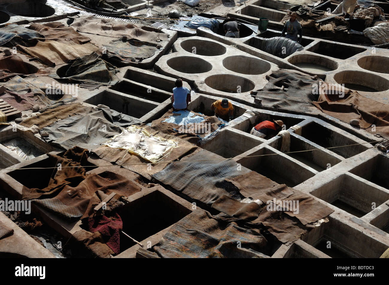 Haut sterben in den Gerbereien Marrakesch, Marokko Stockfoto
