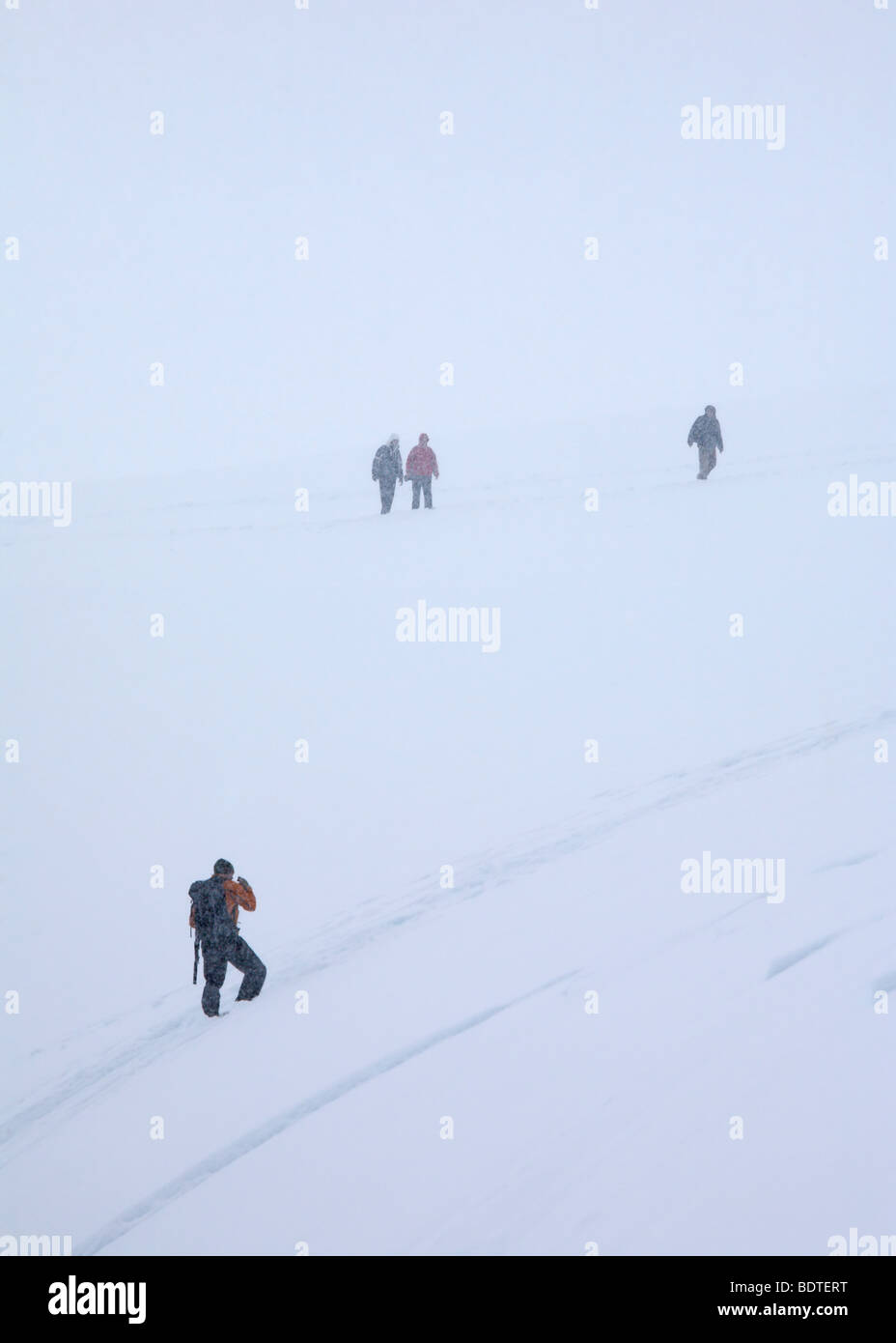 Tour Expeditionsleiter erinnert an Touristen aus schneebedeckten Bergen, wie ein Schneesturm in Neko Harbour, antarktische Halbinsel setzt. Stockfoto