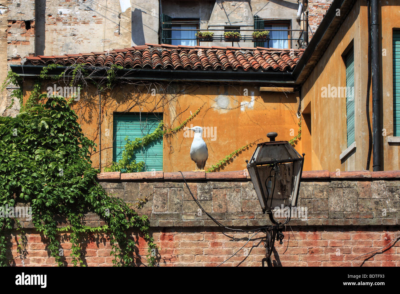 Häuser von Venedig, Italien Stockfoto