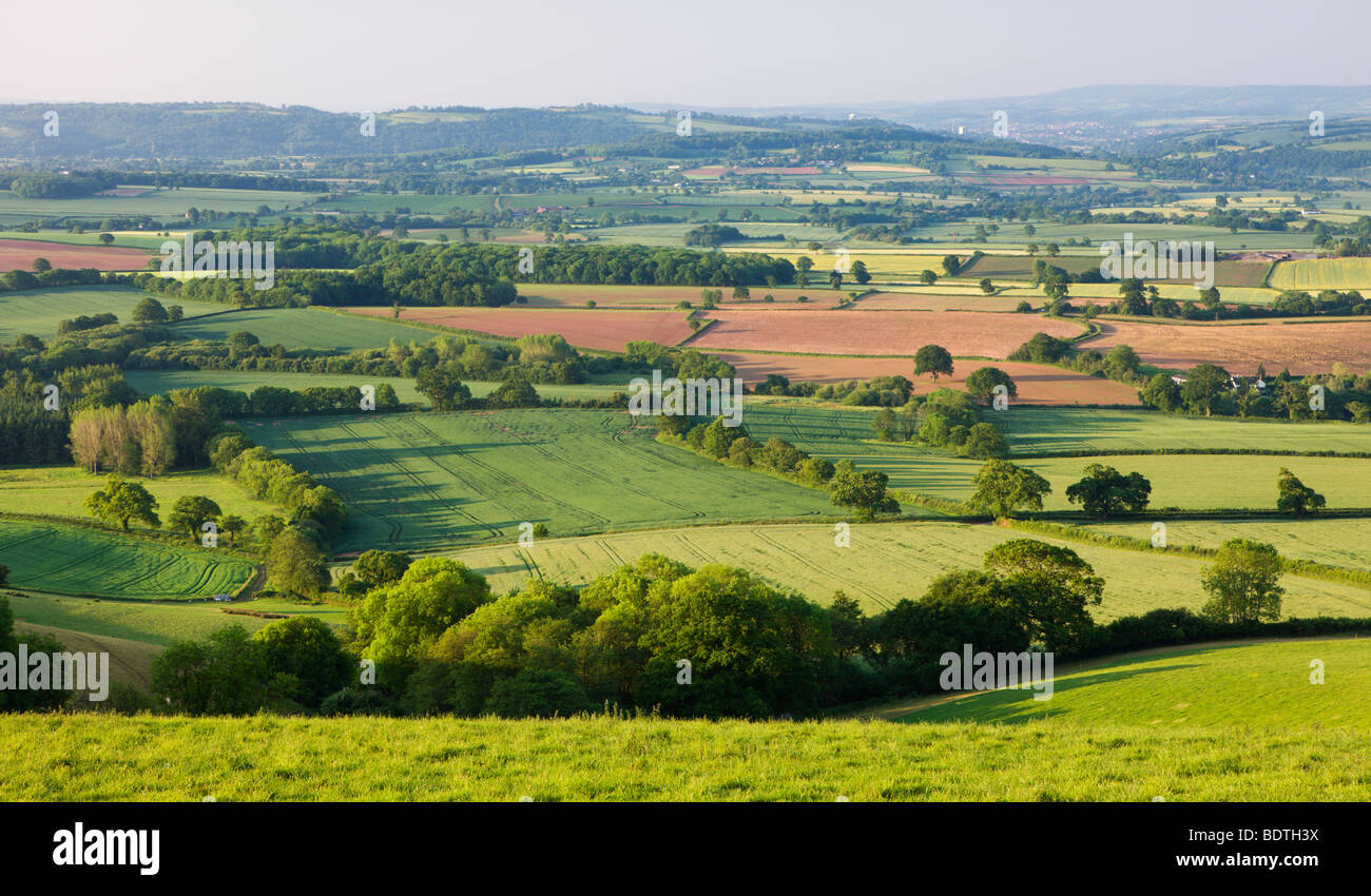 Hügeligem Ackerland am Stadtrand von Exeter, Devon, England. Sommer (Juni) 2009 Stockfoto