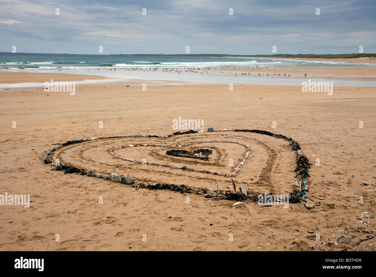 Herzförmiges Muster aus Algen und Steinen; Strandkunst und Sanddünen Küstenlandschaft in Fraserburgh Bay, Aberdeenshire, Schottland, Großbritannien. Stockfoto