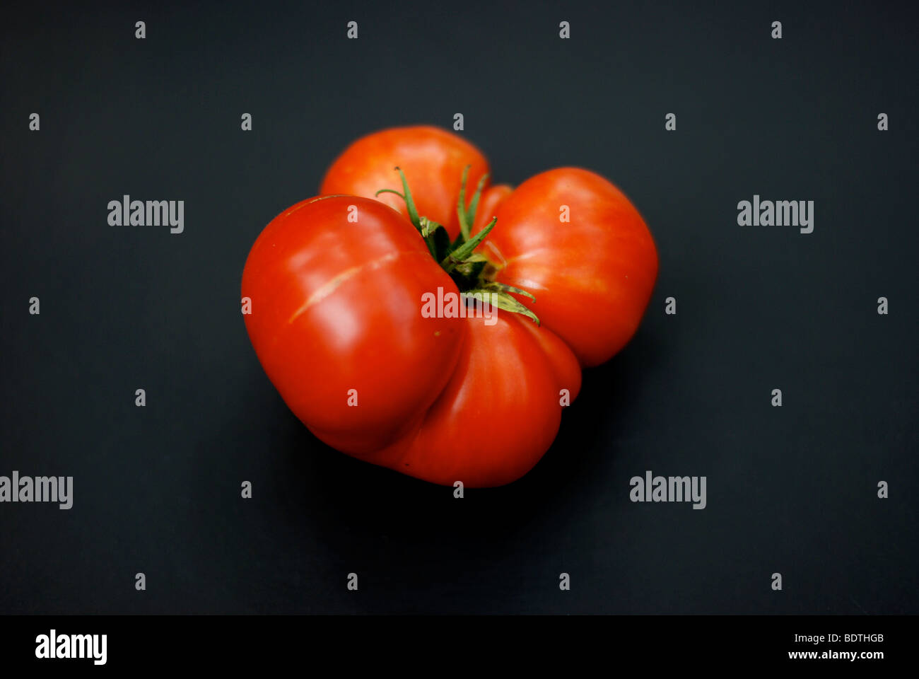 Super fantastisch, nach Hause angebauten Tomaten Stockfoto