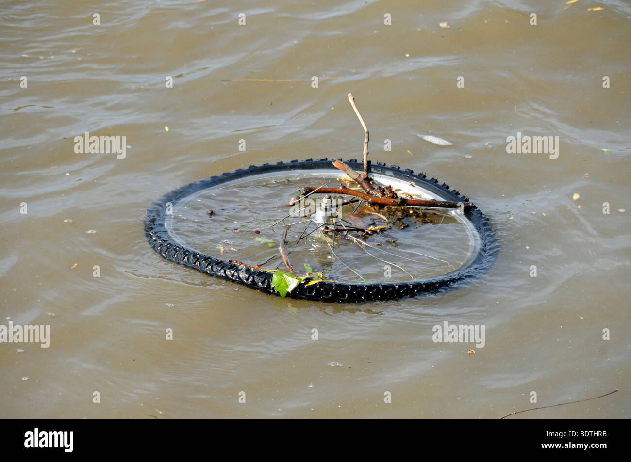 Fahrrad-Rad im Wasser schwimmende Stockfoto