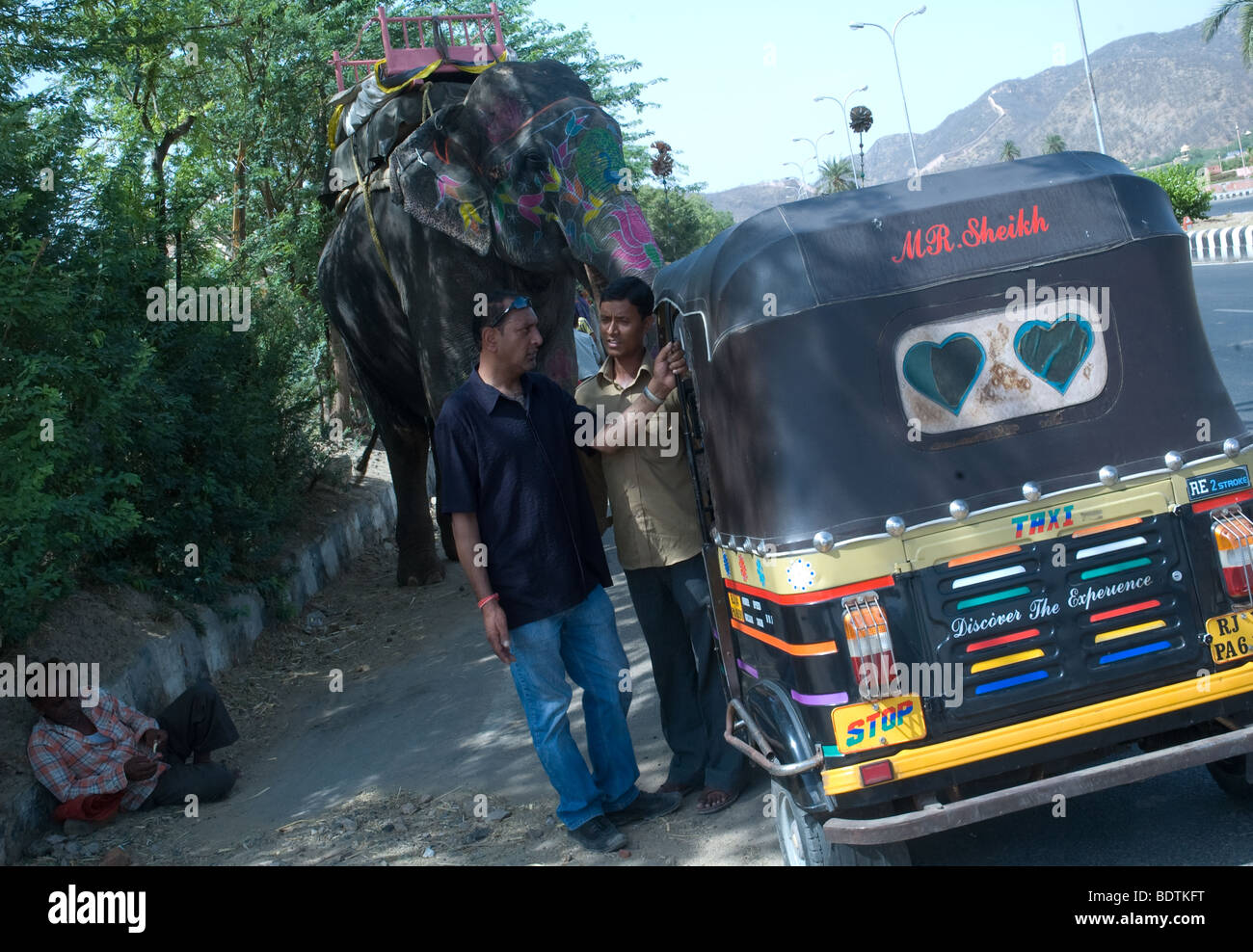 zwei Arten von Transport-Elefant oder Auto-ricksaw Stockfoto