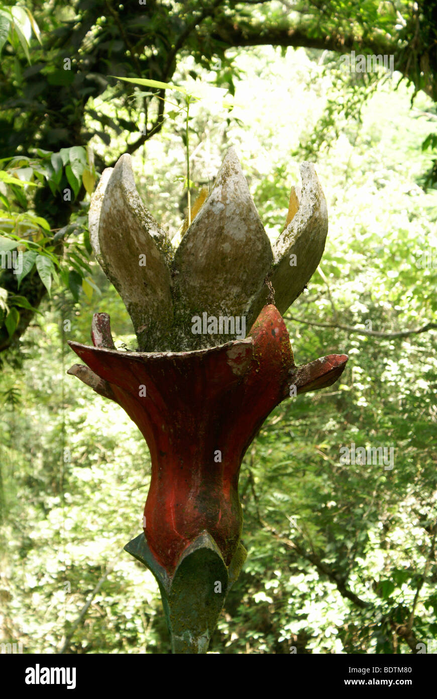 Floral Bildhauerei an Las Pozas, surrealistische Skulpturengarten erstellt von Edward James in der Nähe von Xilitla, Mexiko Stockfoto