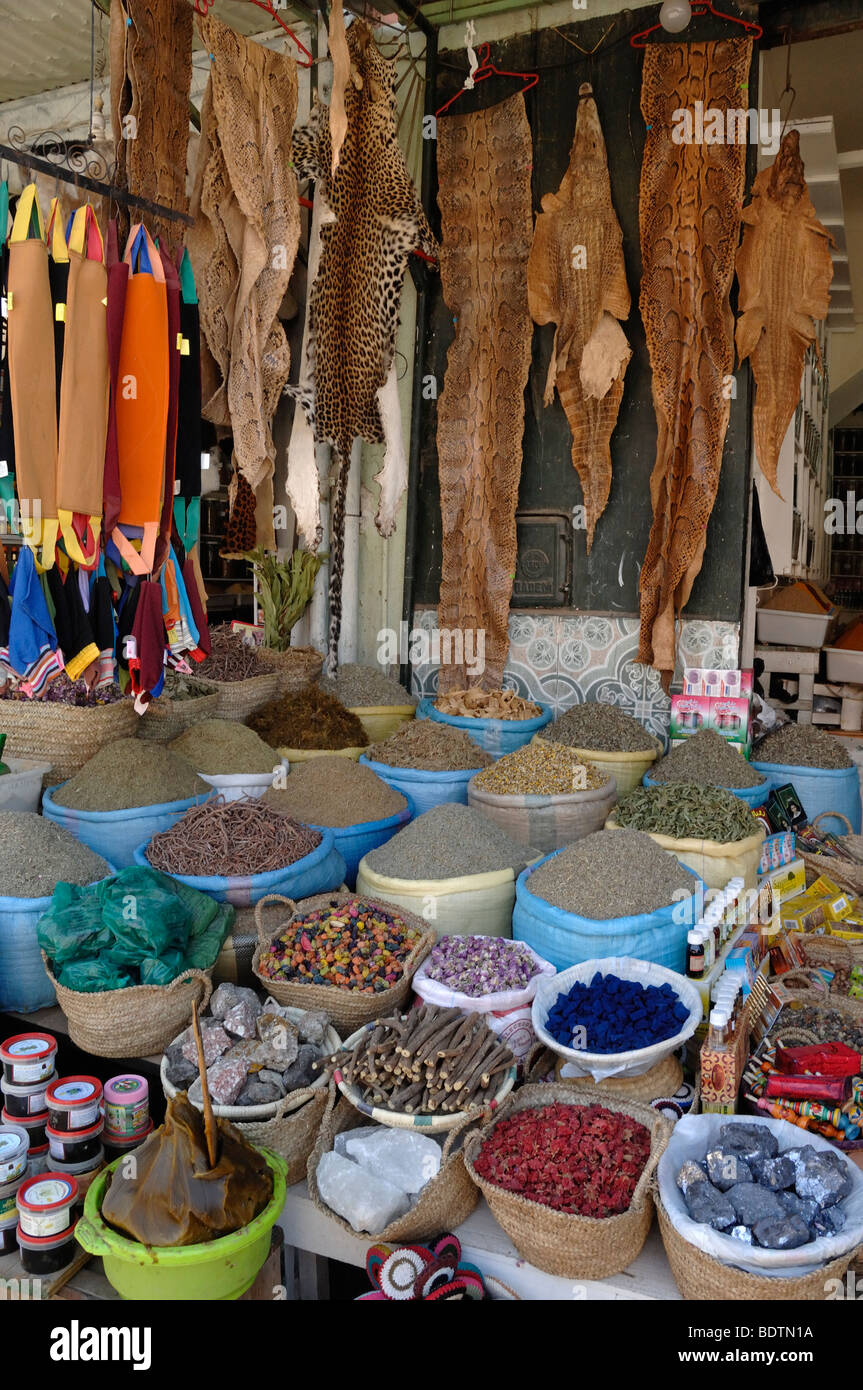 Kräuter Gewürze & Animal Skins auf dem Display auf ein Herbalist Stall, zentralen Souk, Markt oder Basar, Marrakesch, Marokko Stockfoto