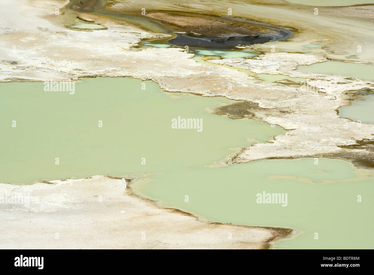 Waiotapu Thermal Wonderland, Rotorua, Nordinsel, Neuseeland Stockfoto