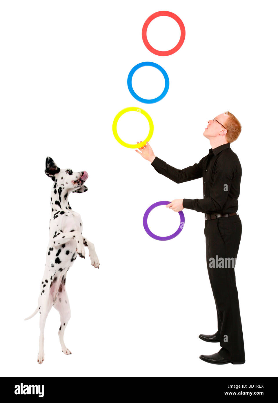 Dalmatiner (Canis Lupus F. Familiaris) stehen neben einem Mann mit einem Ringe jonglieren aufgeregt Stockfoto