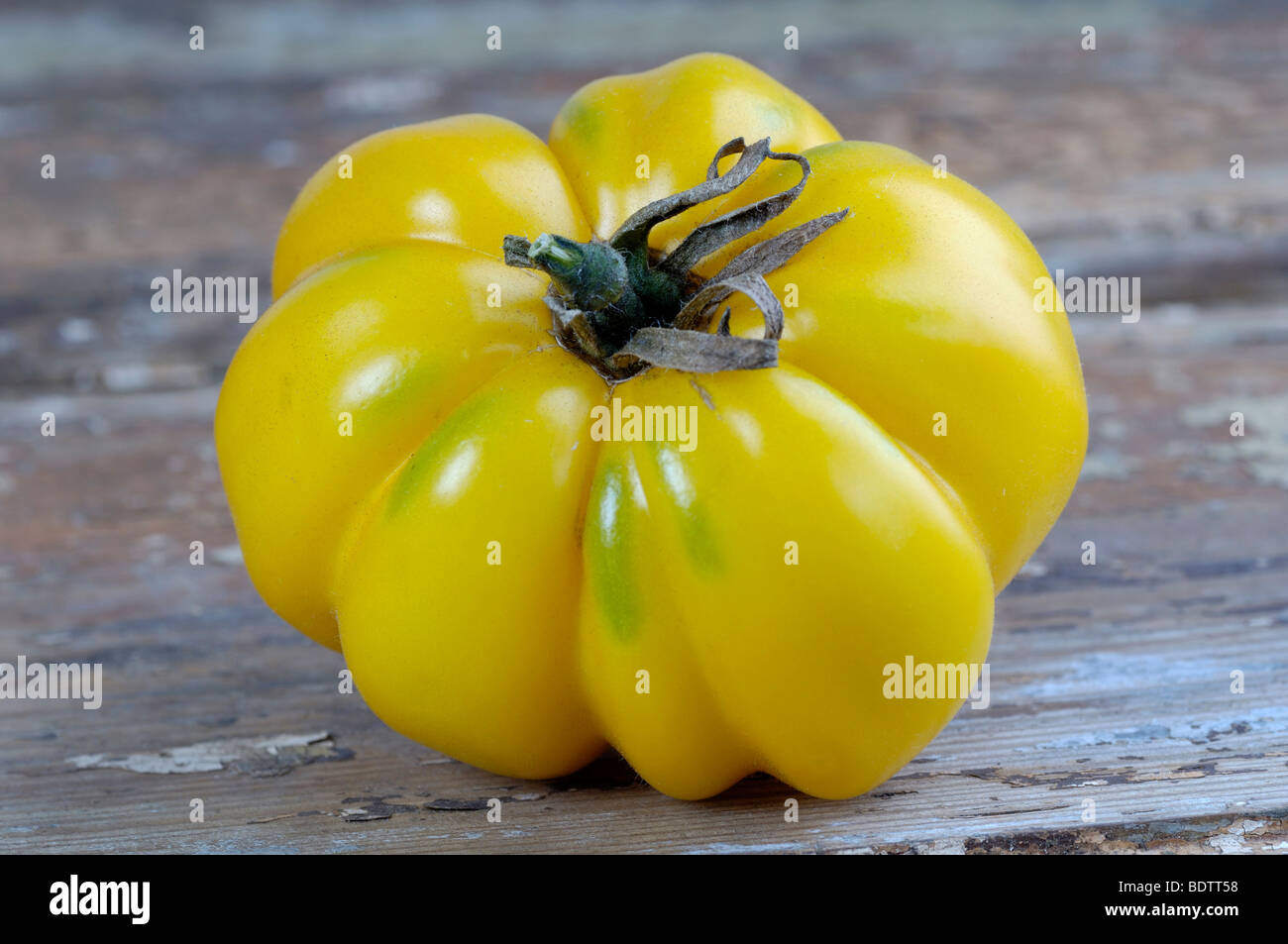 Tomaten, gelbe zerzaust, Solanum Lycopersicum, Tomaten gelbe zerzaust Stockfoto