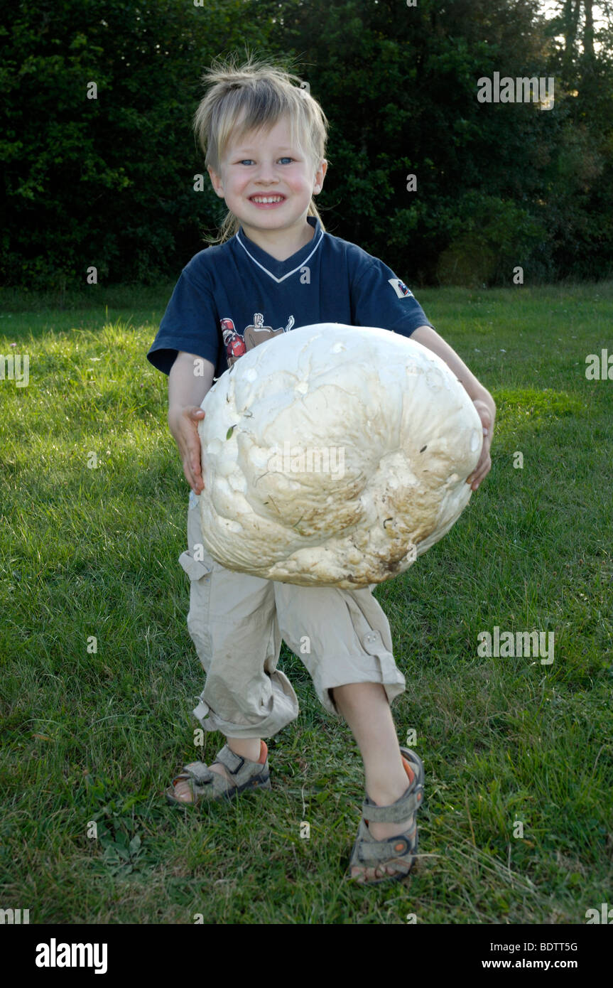 Junge mit Giant Puffball / (Langermannia Gigantea) | Junge Mit Riesenbovist / (Langermannia Gigantea) / Jung Speisepilz, Stockfoto