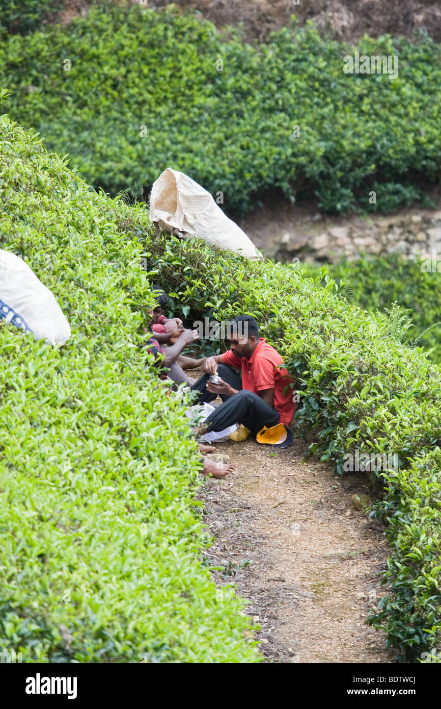 Tee-Plantagen-Arbeiter in Bogawabtalawa, Sri Lanka nehmen ein Mittagessen auf dem Feld. Stockfoto