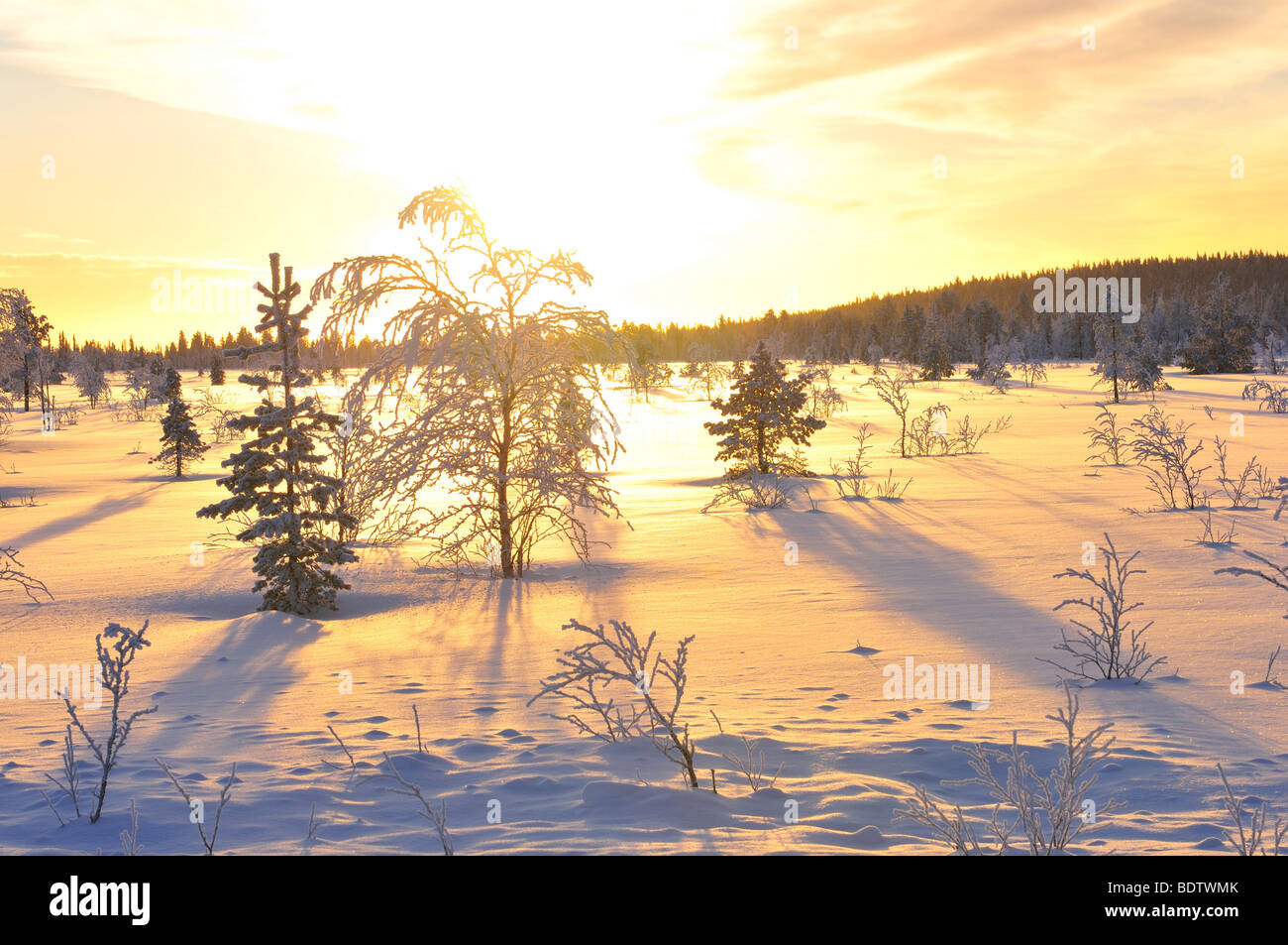 Wintermorgen Jokkmokk, morgen Stimmung im Winter, Lappland, Norrbotten, Schweden Stockfoto