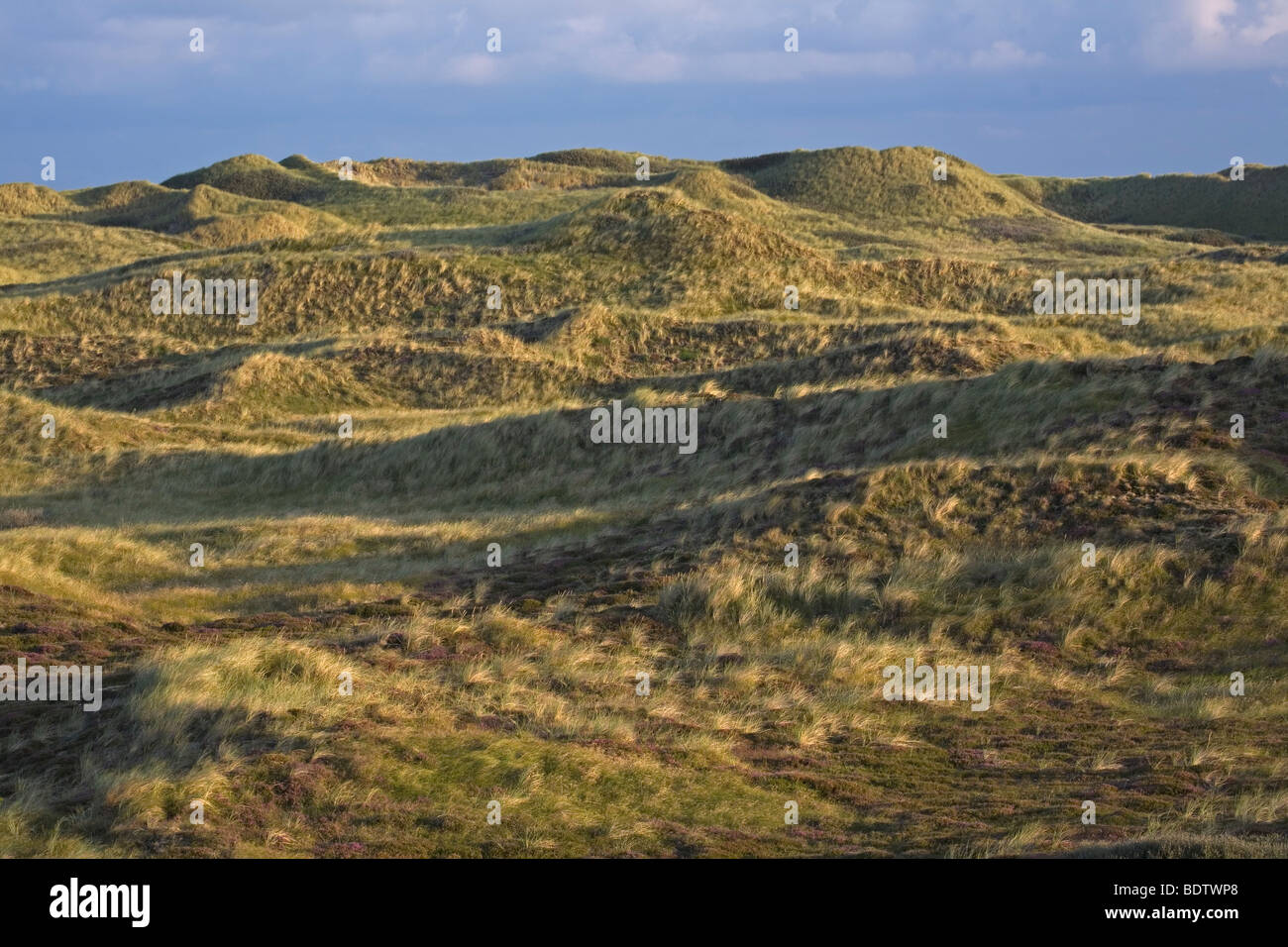 Mount Cook Nationalpark, Canterbury, Südinsel, Neuseeland Stockfoto