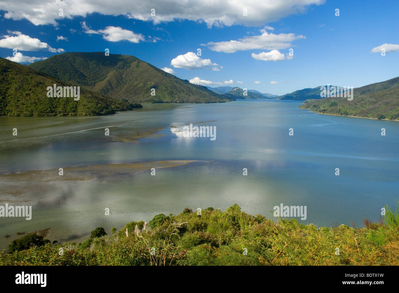 Pelorus Sound, Blick ins Pelorus Sound mit seinen vielen Buchten und bewaldete Hügel, Marlborough Sounds, Südinsel, Neuseeland Stockfoto