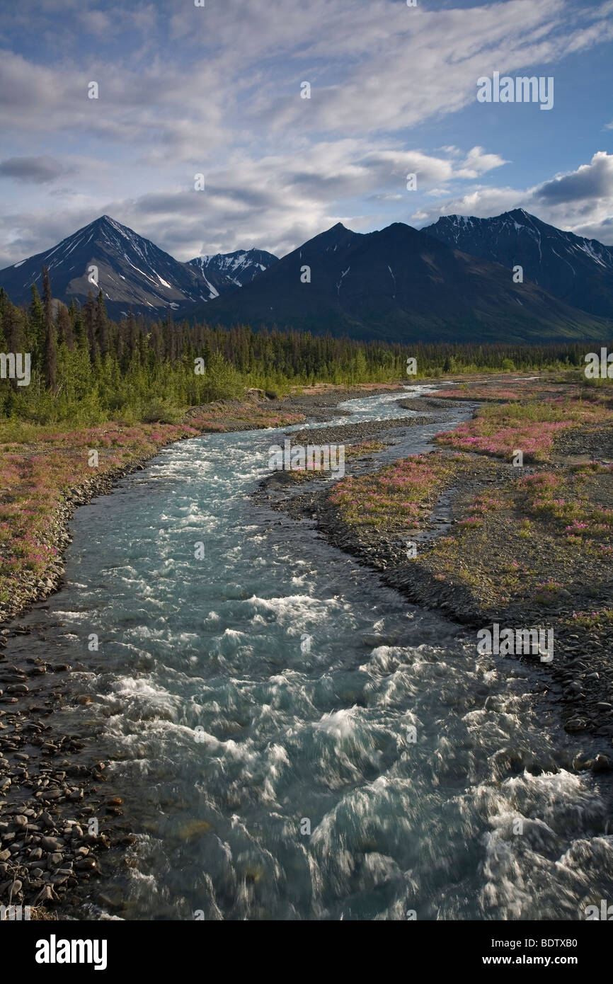 Feder-Bach & Kluane-Bergkette / Quill Creek & Kluane-Range / Kluane-Nationalpark - Canada Stockfoto