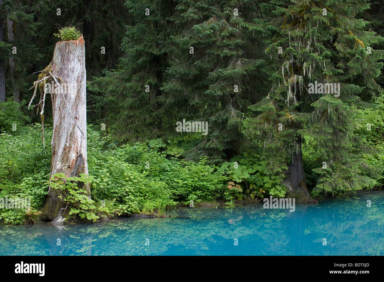 Die Blaue Lagune bin Fish Creek / blaue Lagune am Fish Creek / Hyder - Alaska Stockfoto