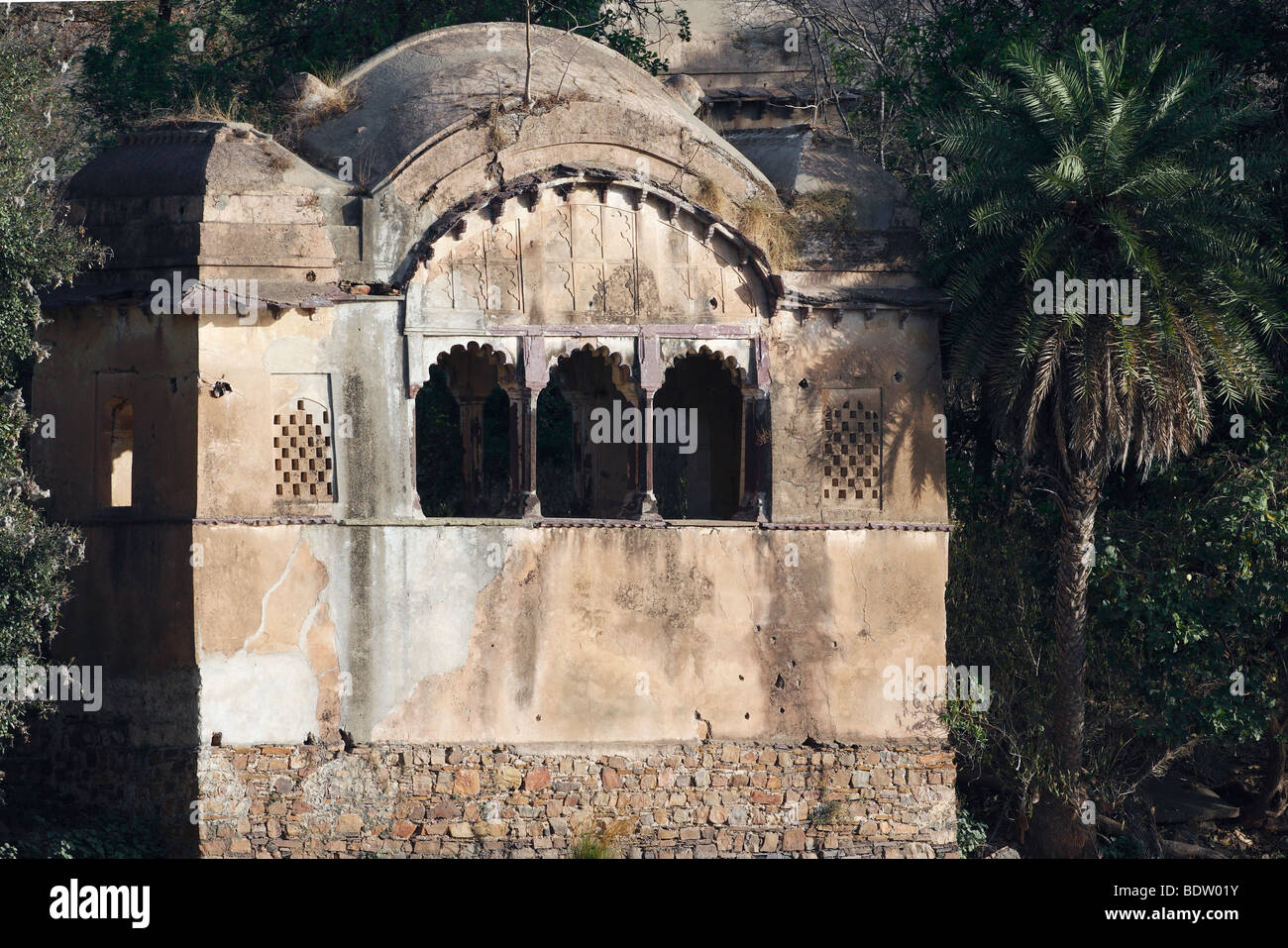 Impressionen aus Dem Ranthambore Nationalpark in Indien, Eindrücke von den Ranthambore Nationalpark in Indien Stockfoto