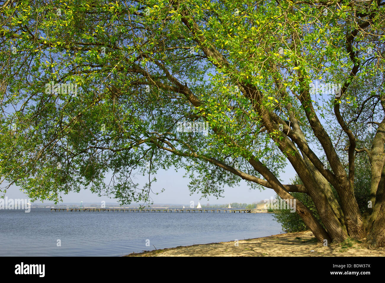 am Seeufer Stockfoto