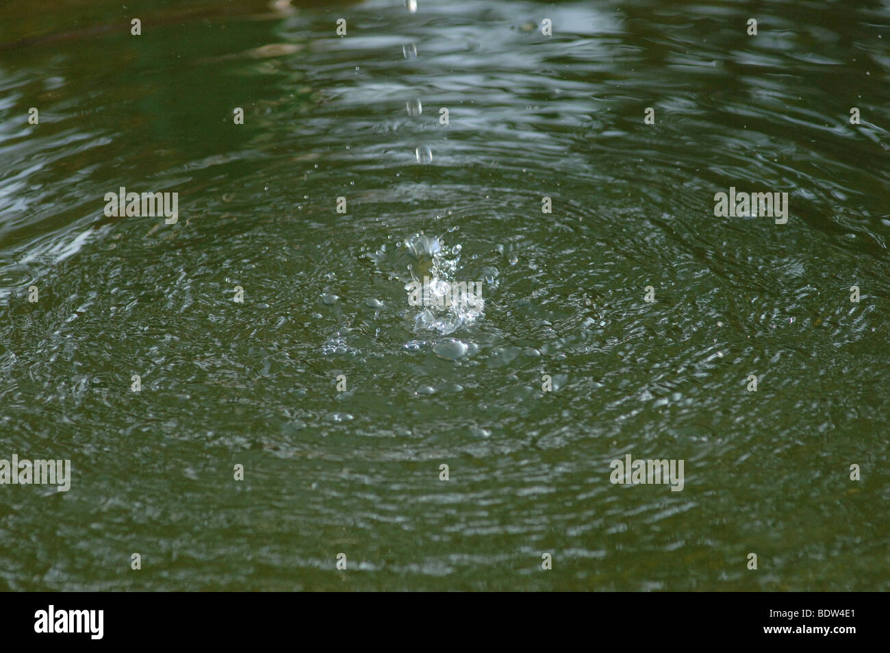 Tropfen Wasser in einem Teich Stockfoto