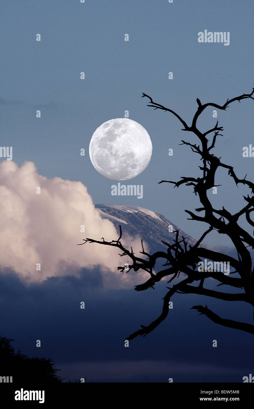 Kenia-Sonnenuntergang Landschaft mit Bäumen und dem Kilimandscharo im Hintergrund. Mond als Foto Verbund hinzugefügt. Amboseli National Park Stockfoto