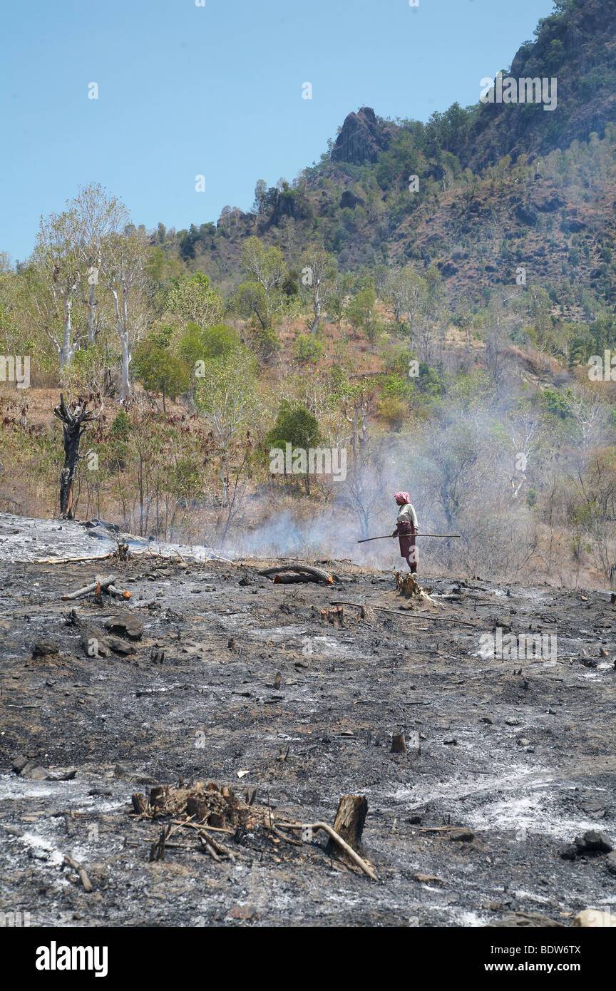 TIMOR LESTE Slash und brennen Landwirtschaft in Oecussi-Ambeno. Foto: SEAN SPRAGUE 2007 Stockfoto