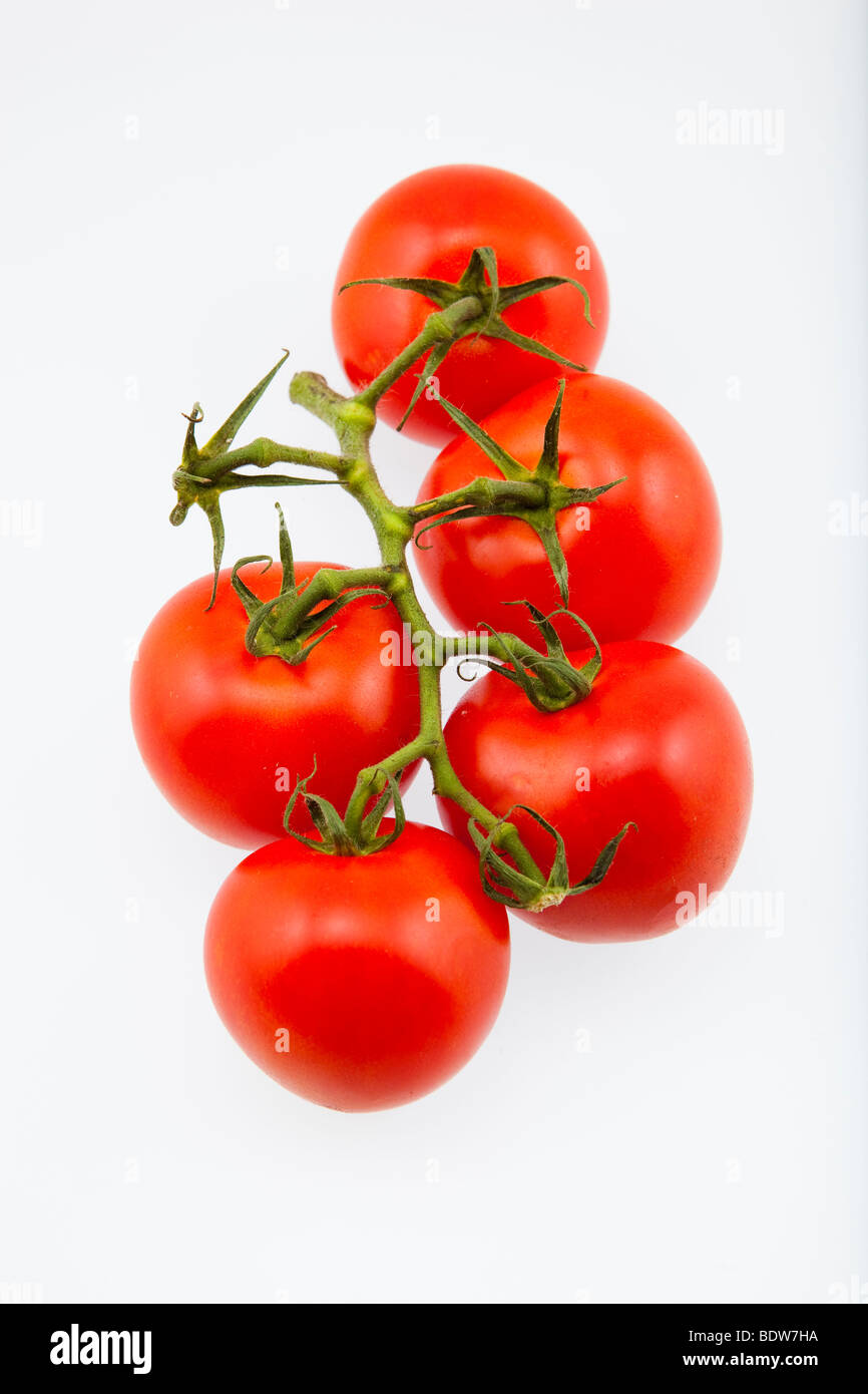 Rebe reife Tomaten Stockfoto