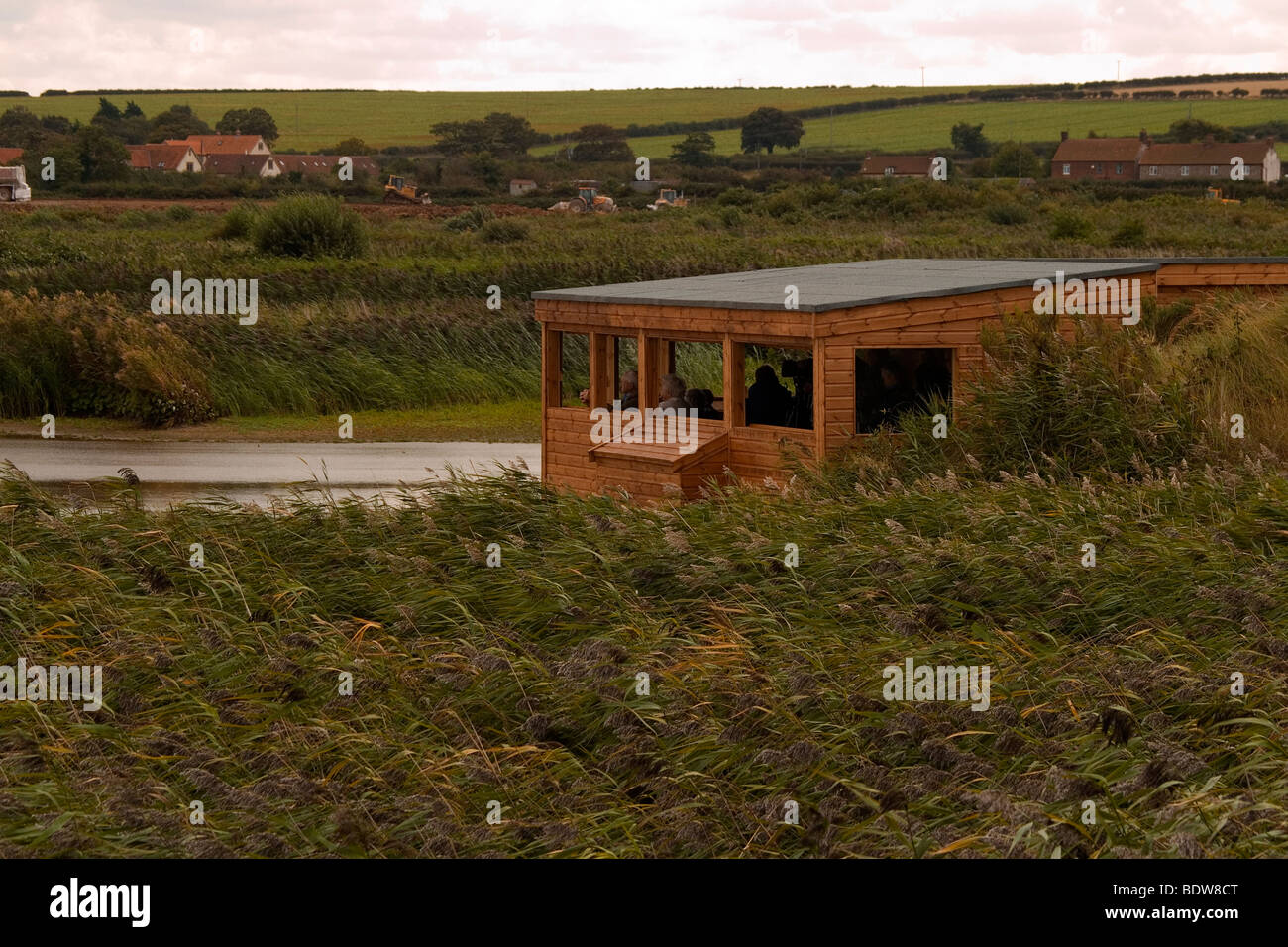 Die beliebte Insel verstecken sich auf der RSPB Reserve am Titchwell Norfolk Stockfoto