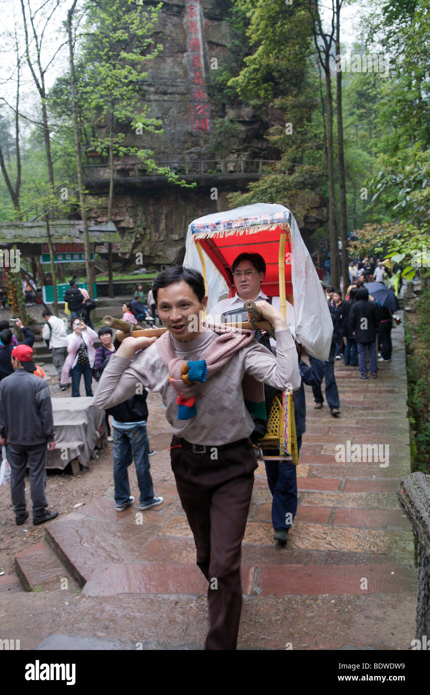 Träger mit Mann in der Sänfte Wulingyuan Scenic National Park der Provinz Hunan China Stockfoto