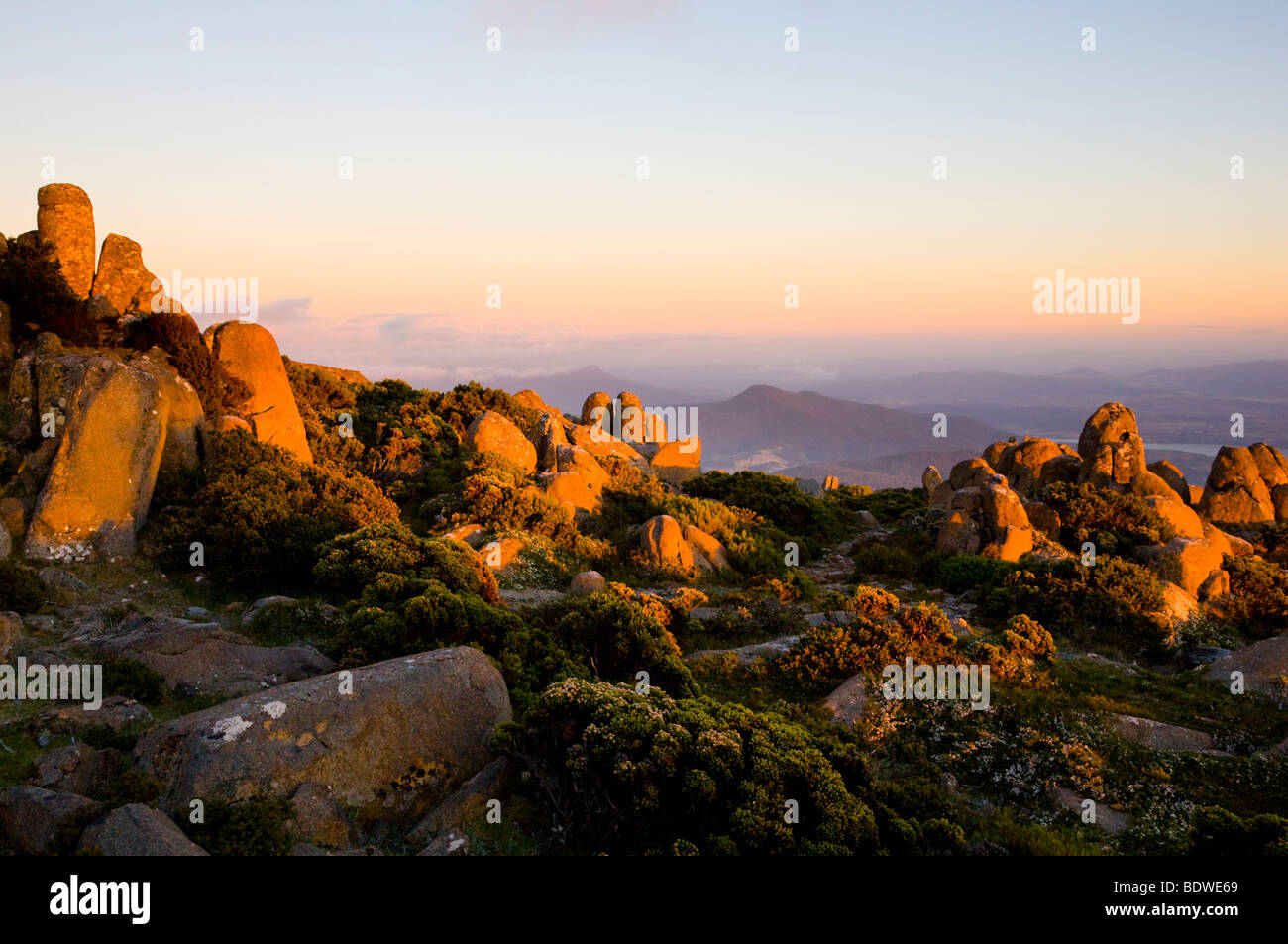 Morgendämmerung auf dem Gipfel des Mount Wellington, Tasmanien, Australien Stockfoto