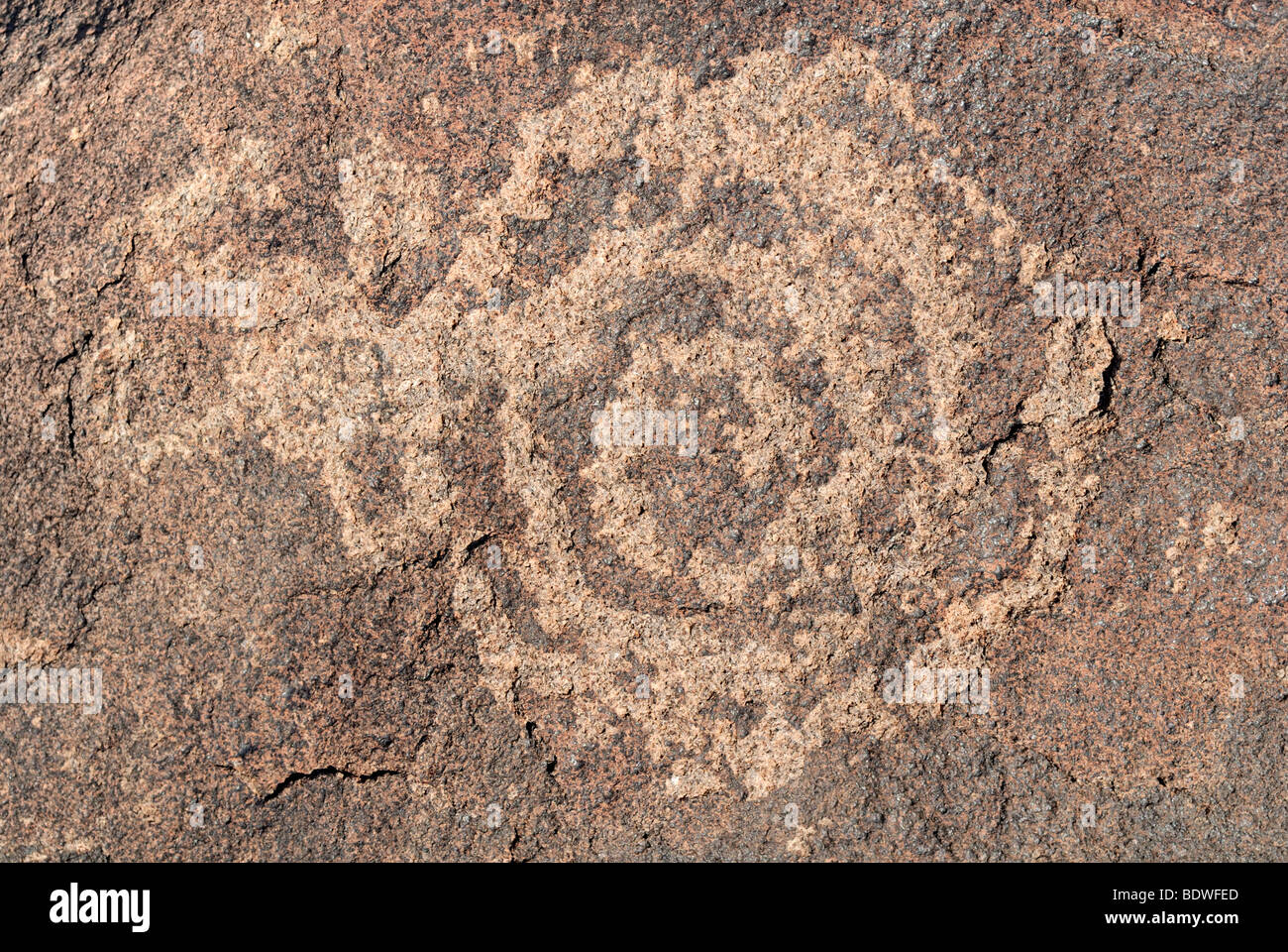 Native American Gravur, Petroglyphen, symbolische Spiralform, etwa 1000 Jahre alt, malte Rock Petroglyph Site, malte Rock Stockfoto