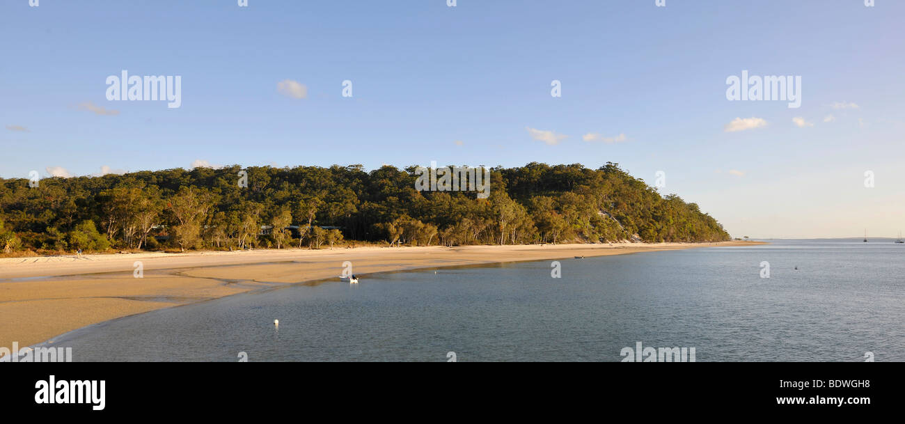 Panorama, Strand, Kingfisher Bay, Eukalyptus Wald, UNESCO Weltnaturerbe, Fraser Island, Great Sandy National Par Stockfoto