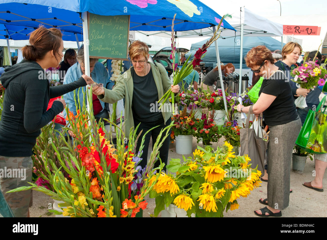 Kauf von Blumen auf dem Fort Garry Bauernmarkt in der Nähe von Winnipeg, Manitoba, Kanada. Stockfoto