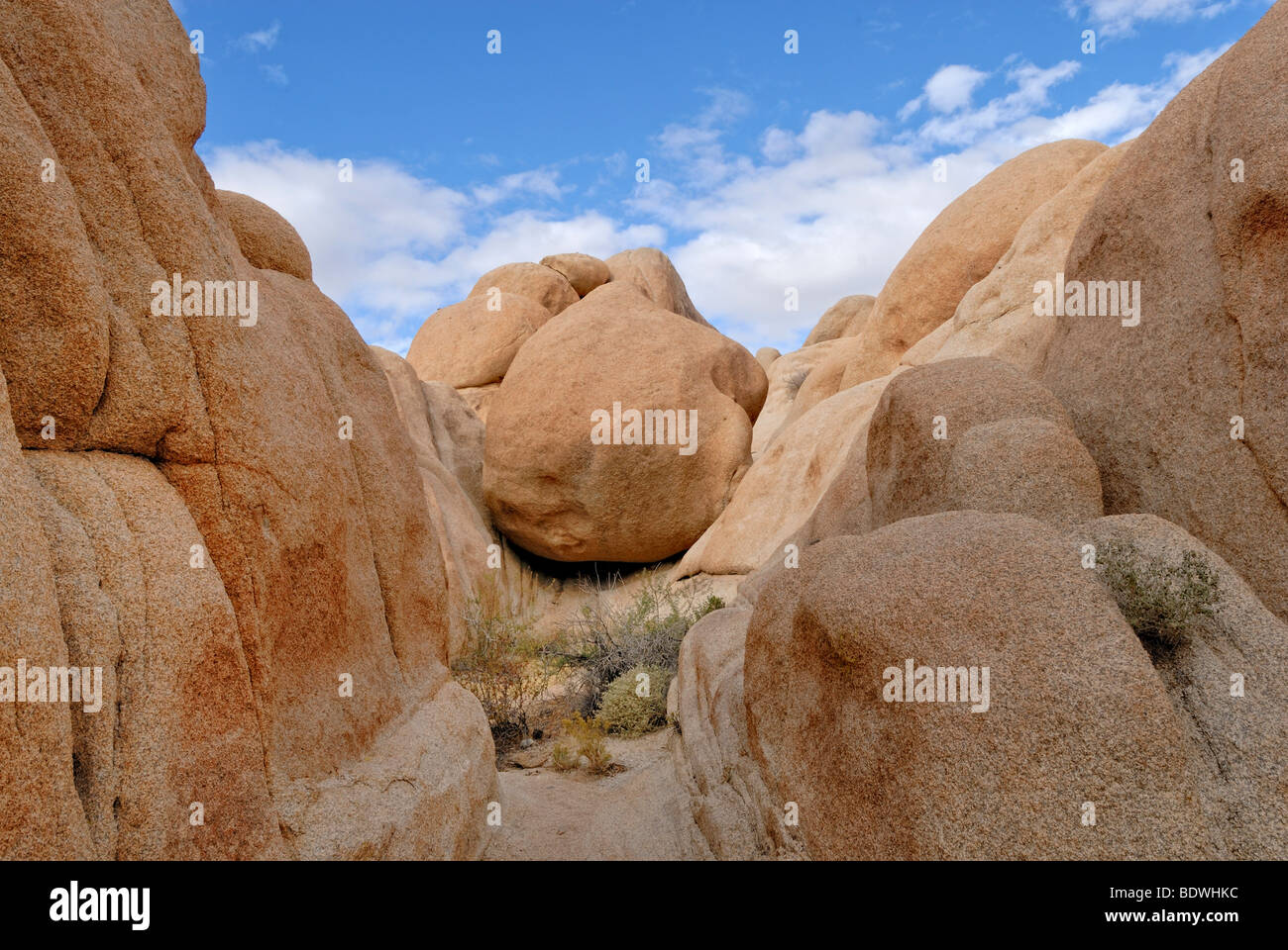 Rock Ball blockiert eine Schlucht Ende, Joshua Tree Nationalpark, Southern California, California, USA Stockfoto