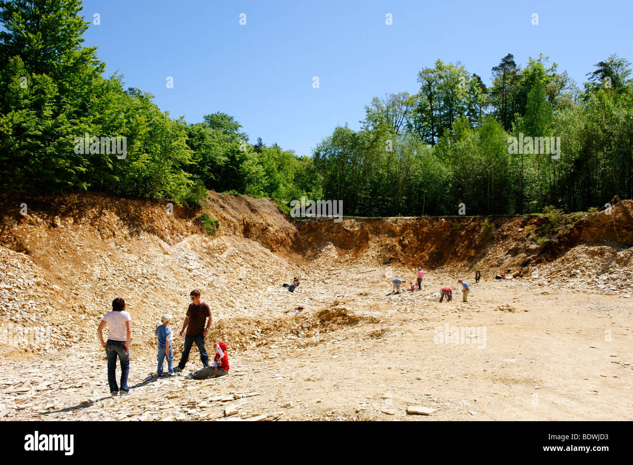 Fossil Suche Gebiet, Kalksteinbruch für Hobby Fossilien Sammler in der Nähe von Solnhofen im Naturpark Altmühl Tal Mitte F Stockfoto