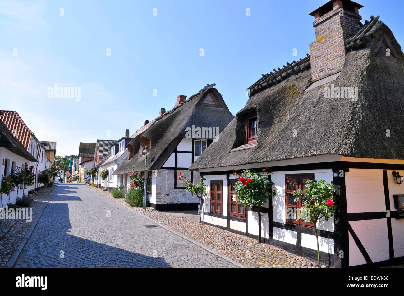 Strohgedeckte Häuser in Maasholm, Schleswig-Holstein, Deutschland, Deutschland, Nordeuropa Stockfoto