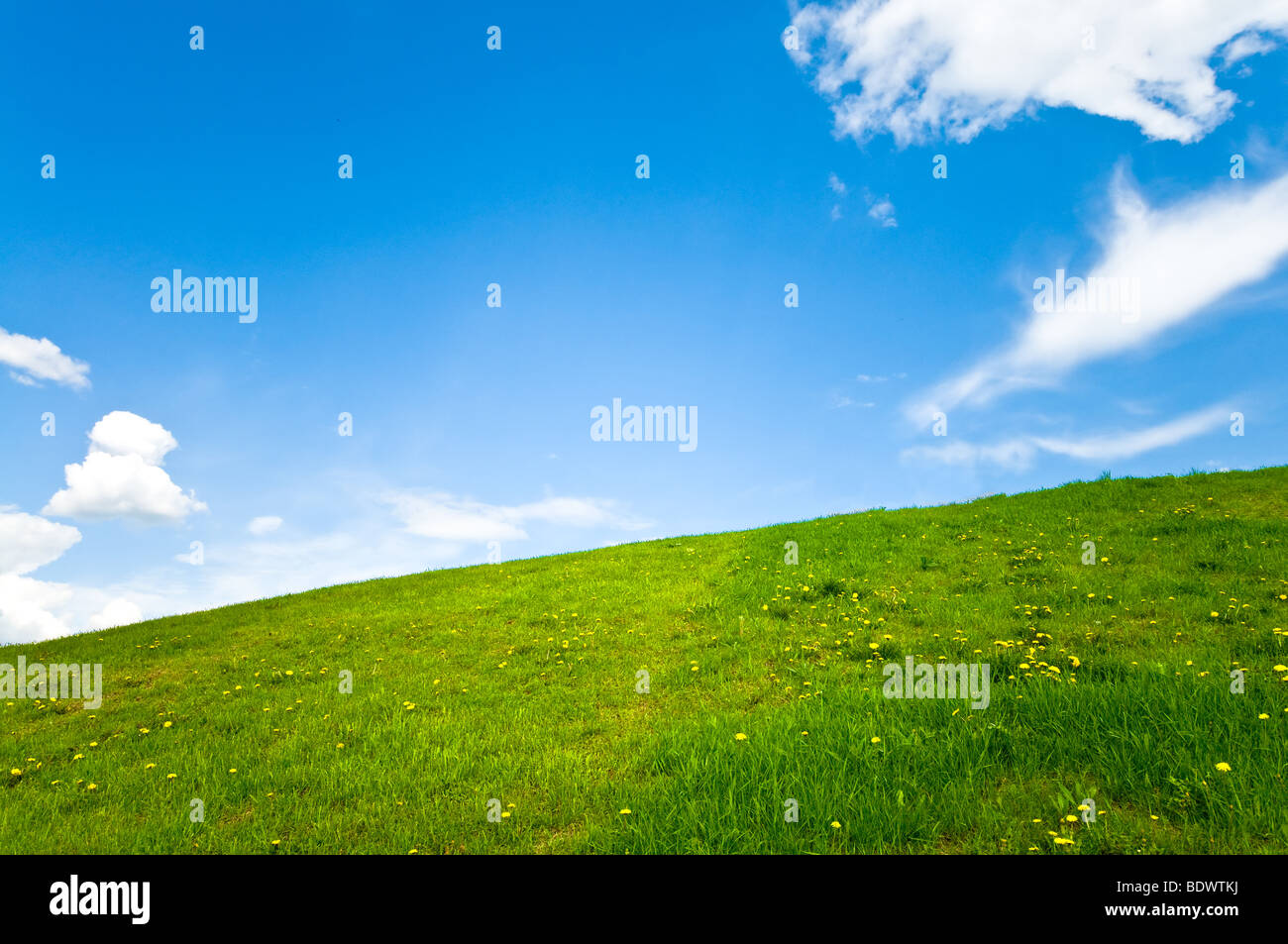 schöne Frühlingslandschaft Rasen für Hintergrund Stockfoto