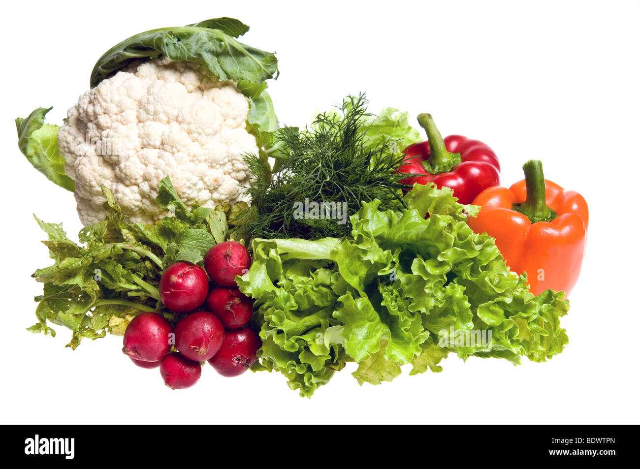 Blumenkohl, Salat, Paprika und andere Gemüse Studio isoliert Stockfoto