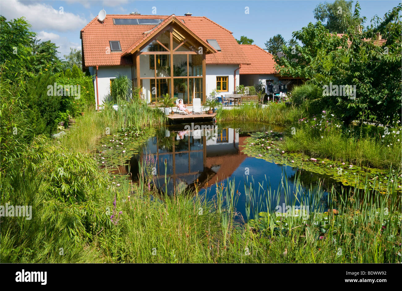 Teich seerosen Fotos und Bildmaterial in hoher Auflösung Alamy