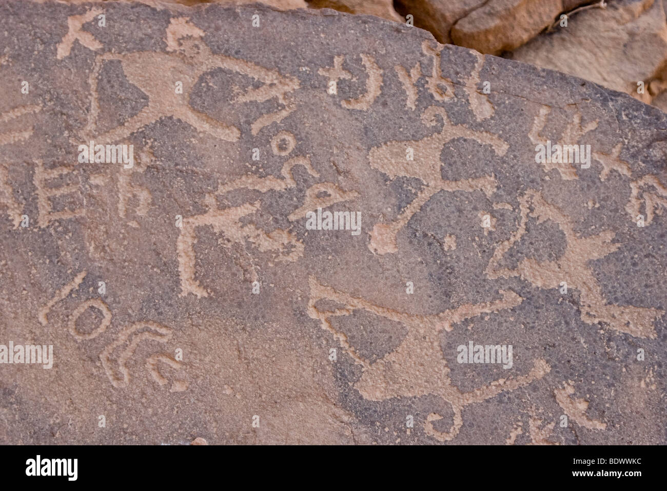 Petroglyphen in Wadi Rum in Jordanien Stockfoto