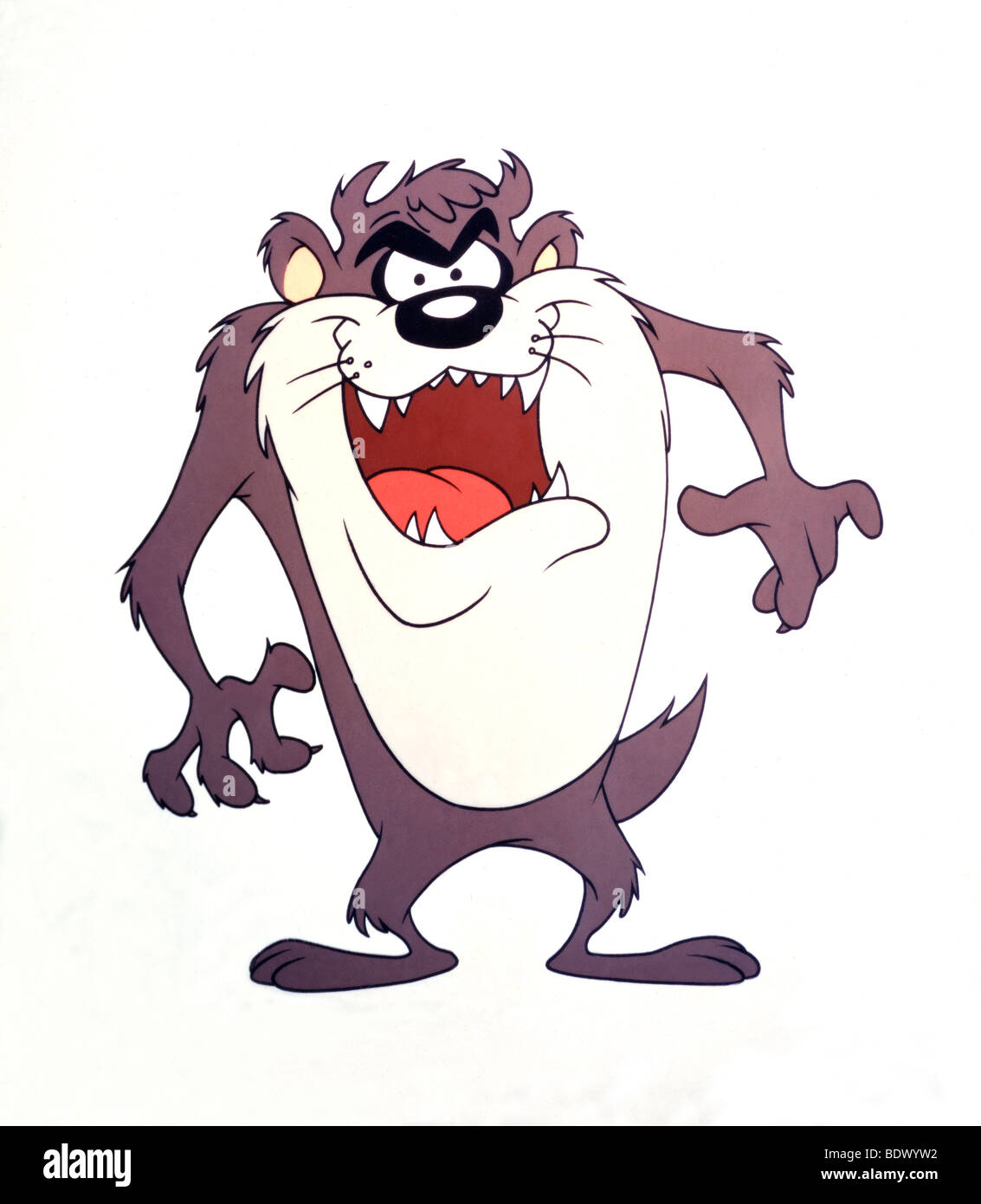 TAZMANIAN DEVIL - Warner Bros cartoon Charakter Stockfoto