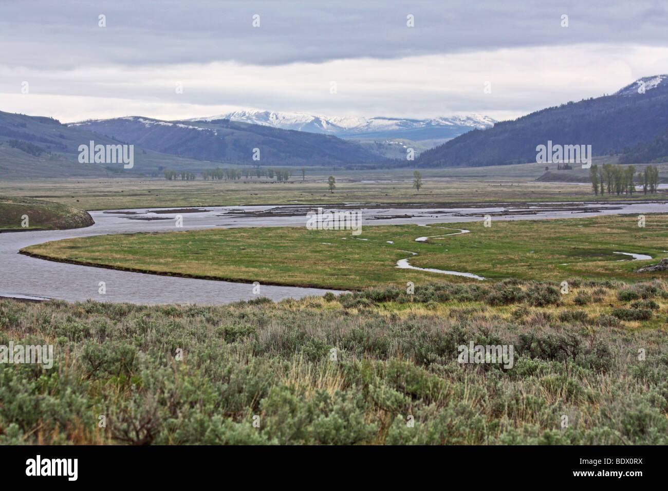 Lamar Valley, Yellowstone-Nationalpark, Wyoming, USA Stockfoto