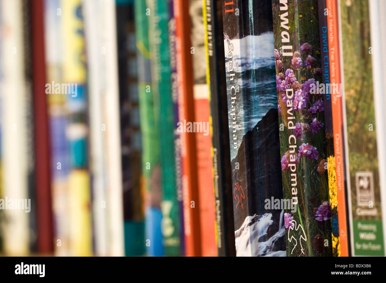 Bücherregal mit Sammlung von Büchern Stockfoto