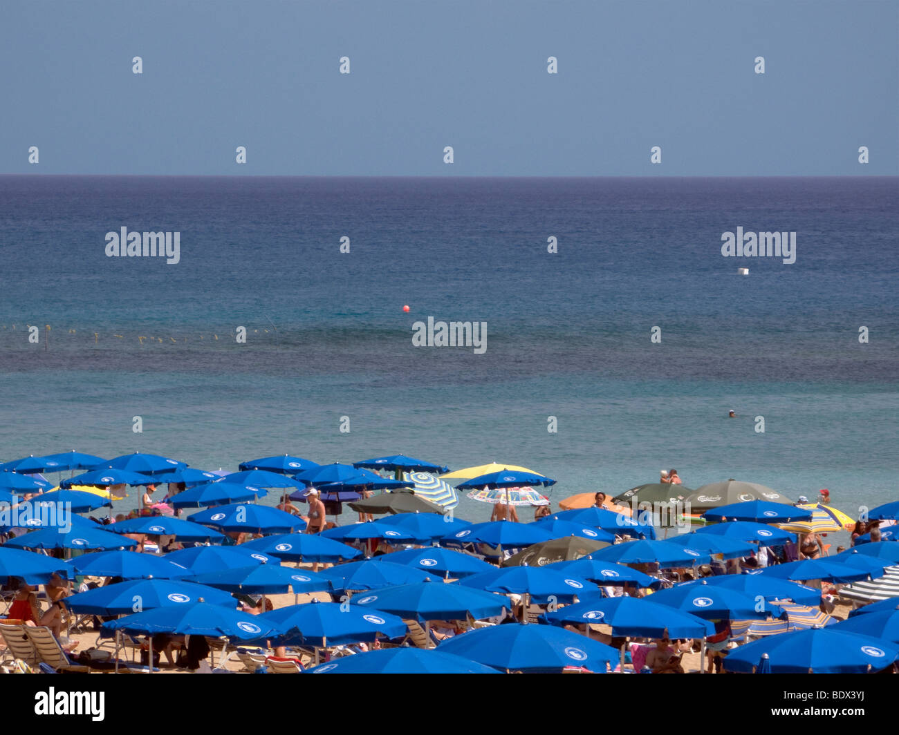 Blaue Sonnenschirme am Strand von Fig Tree Bay, im Dorf von Protaras, Zypern. Stockfoto