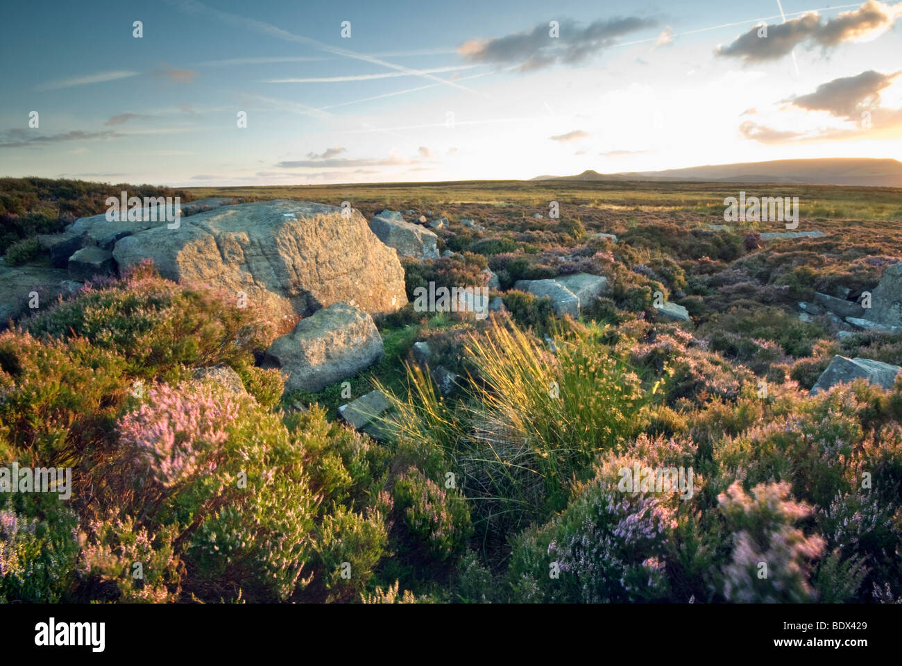 "Ehre sei Steinen" auf "Bamford Moor" im "Peak District", Derbyshire, "Great Britain" Stockfoto